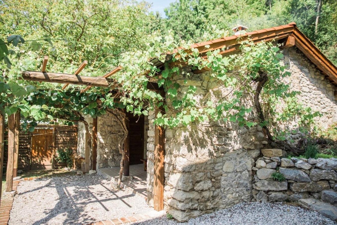 Kuninez, Holiday Home With Summer Kitchen موست نا سوتشي المظهر الخارجي الصورة